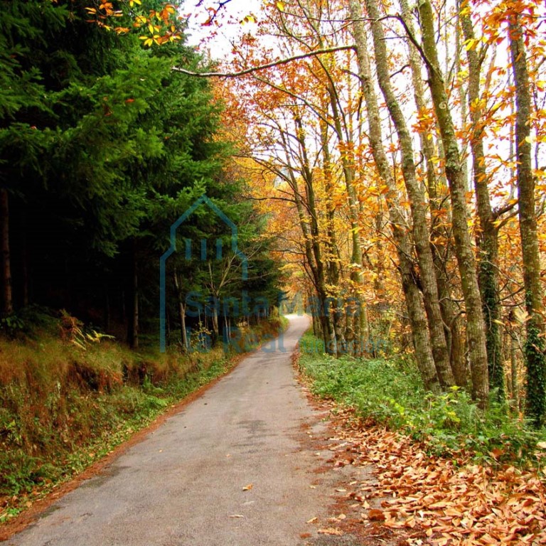 Carretera a Tainas