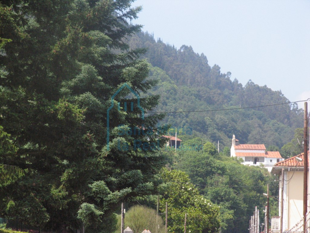 Panorámica