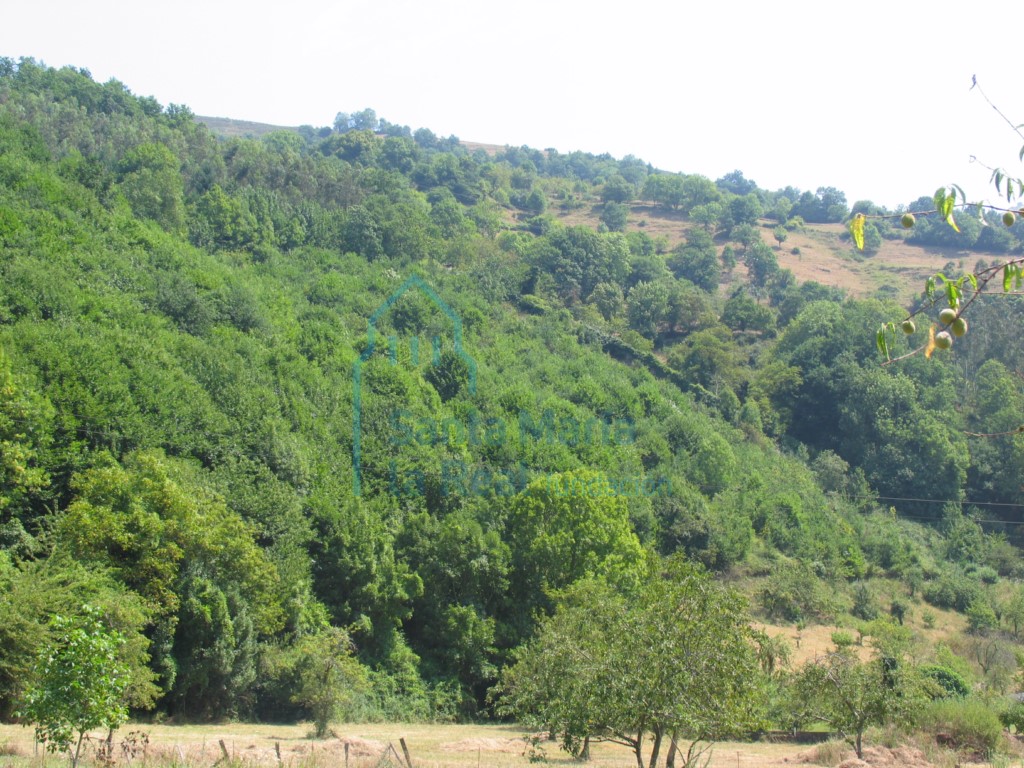 Vista panorámica del entorno con restos de la antigua cerca monástica