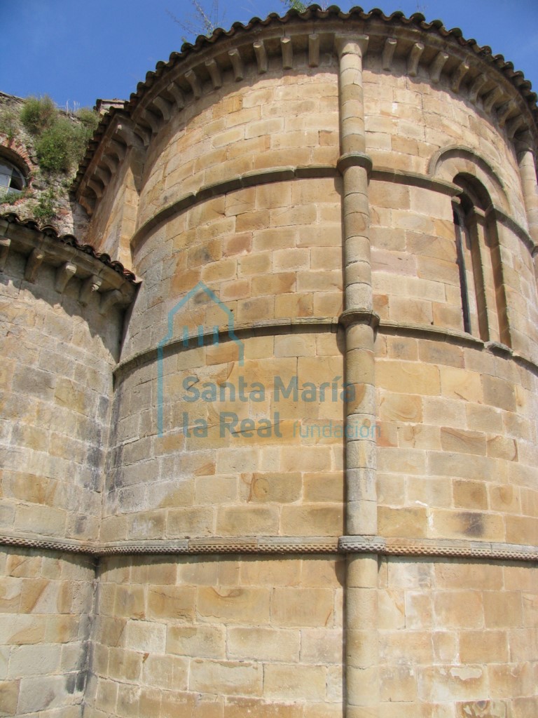 Detalle de la cabecera