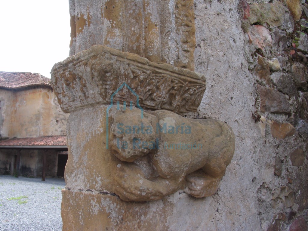 Detalle del lado derecho de la portada primitiva de acceso a las antiguas huertas del monasterio. Cuadrúpedo, posible león