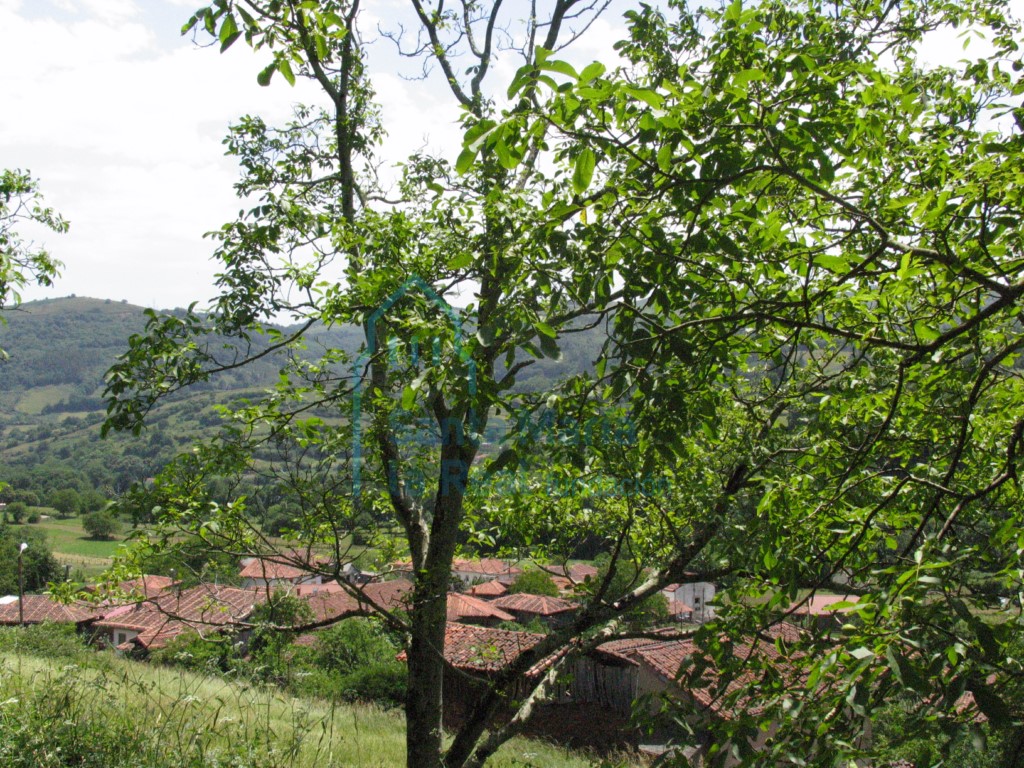 Paisaje de Arcellana