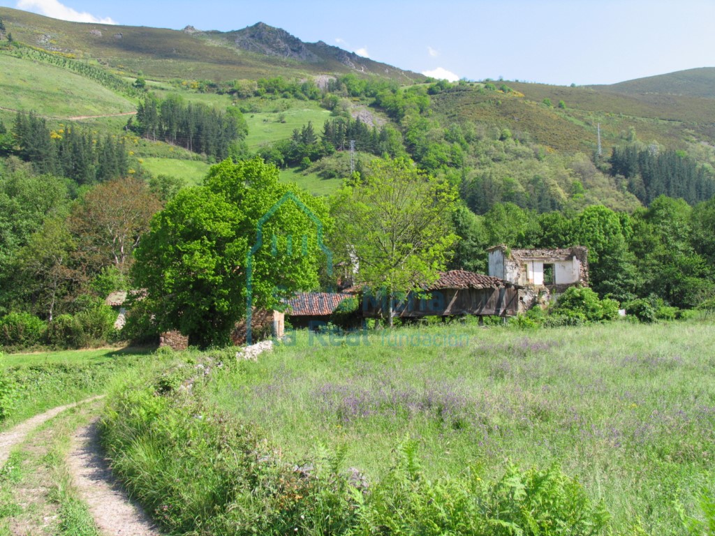 Panorámica del valle de Arganza Panorámica del valle de Arganza