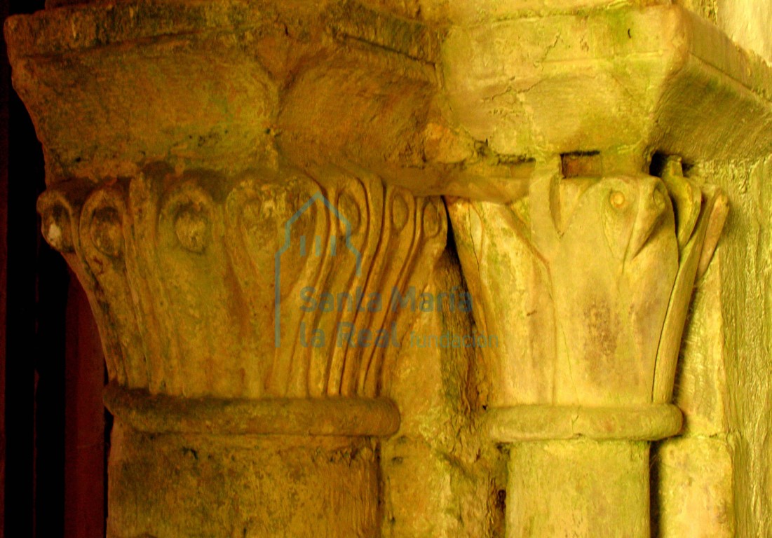 Capiteles derechos