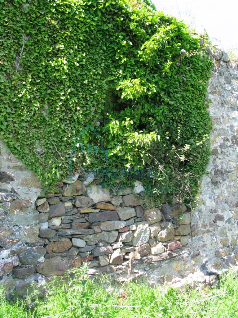 Puerta lateral dercha de la nave