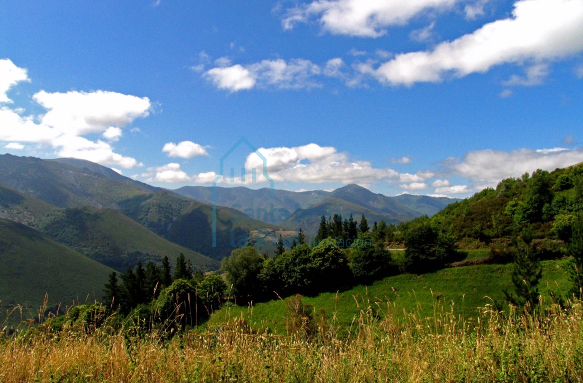 Vista panorámica