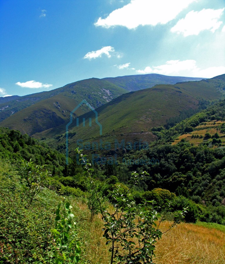 Vista panorámica
