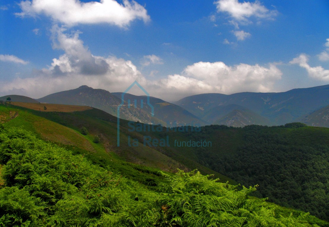 Paisaje
