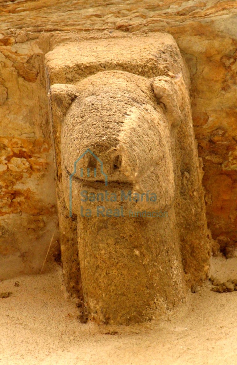 Canecillo del muro sur. Cabeza zoomorfa