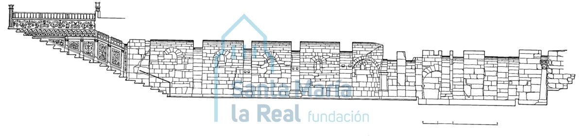 Sección longitudinal de la cripta