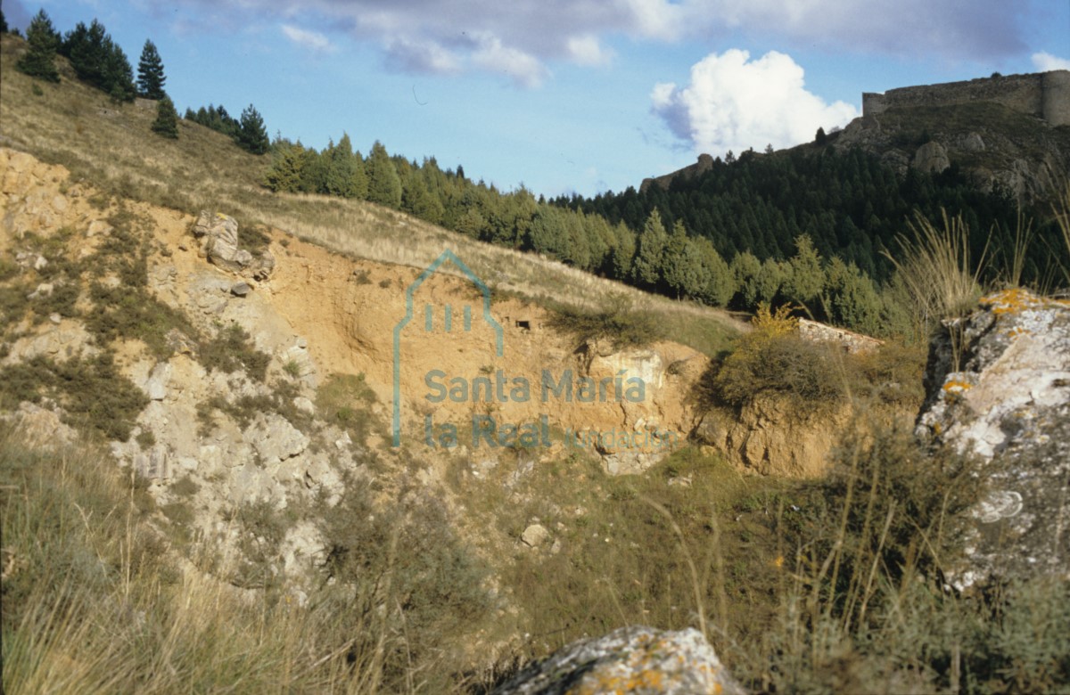 Paraje natural