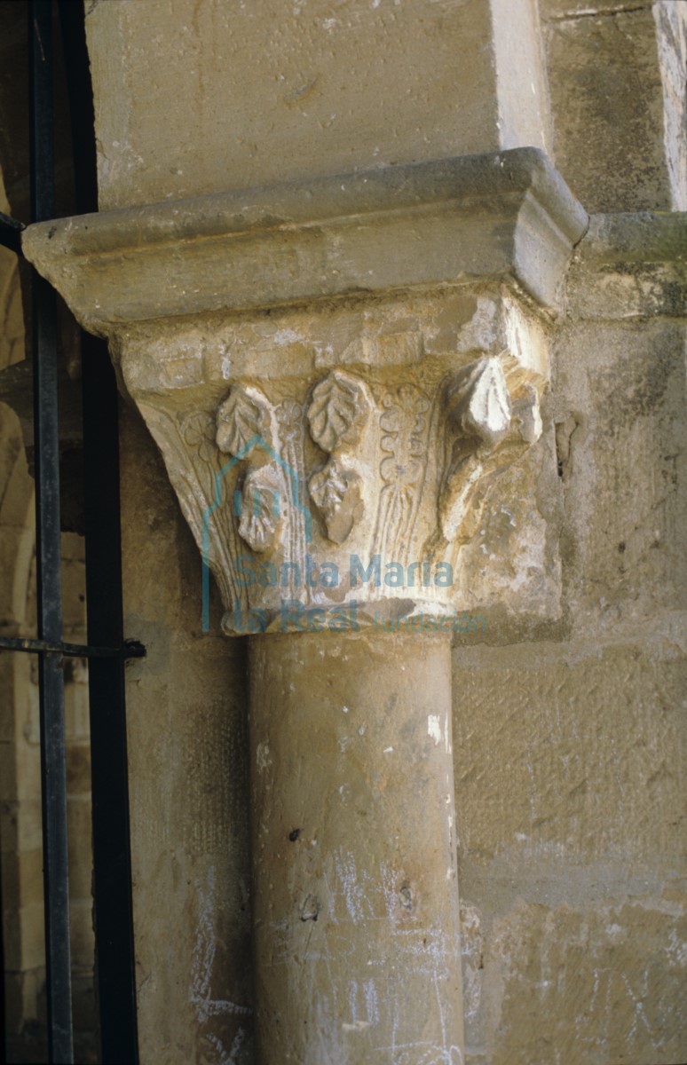 Capitel vegetal.