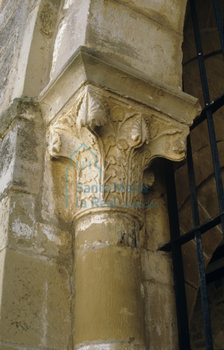 Capitel vegetal.