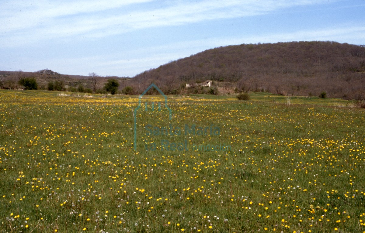 Panorámica