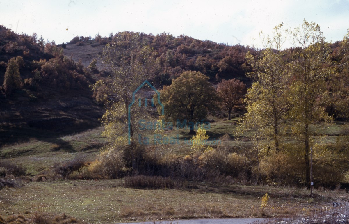 Paisaje