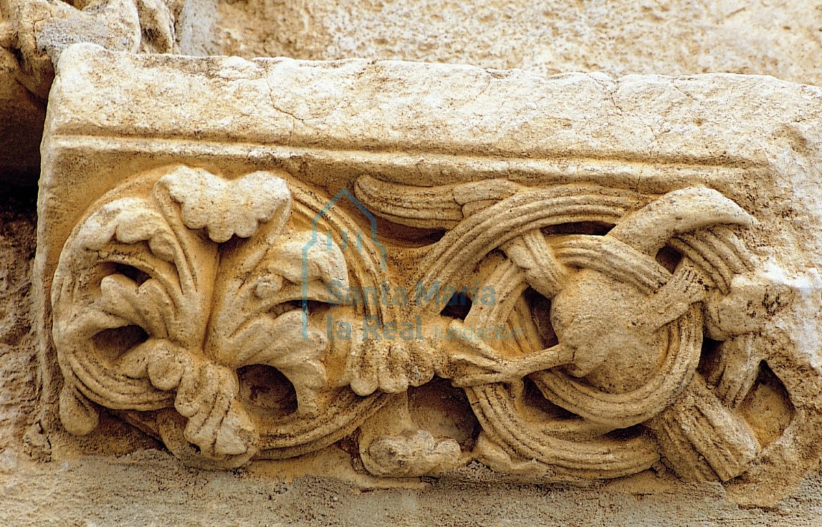 Detalle de la portada: cimacio