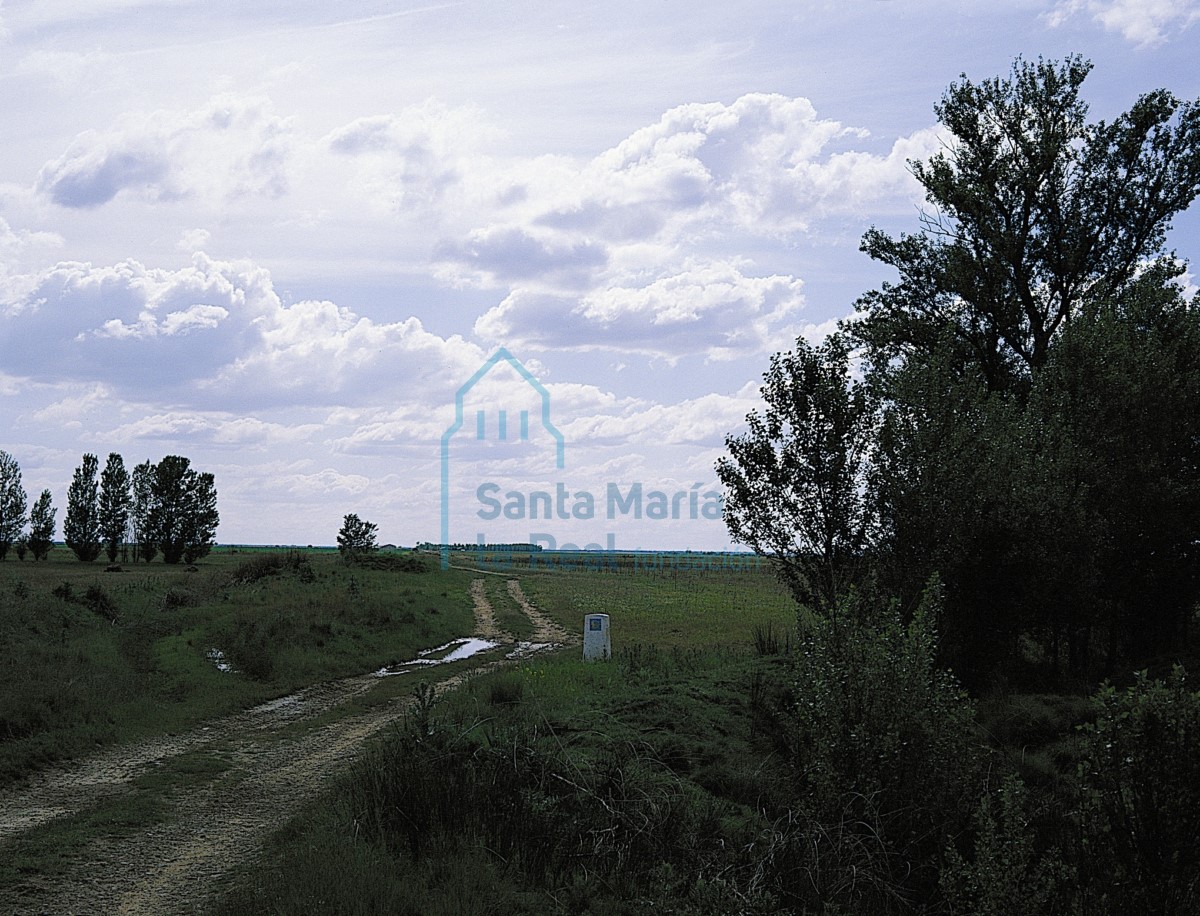 Camino de Santiago, Carrión de los Condes