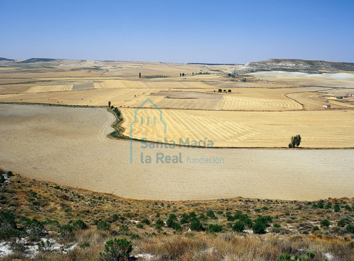Paisaje