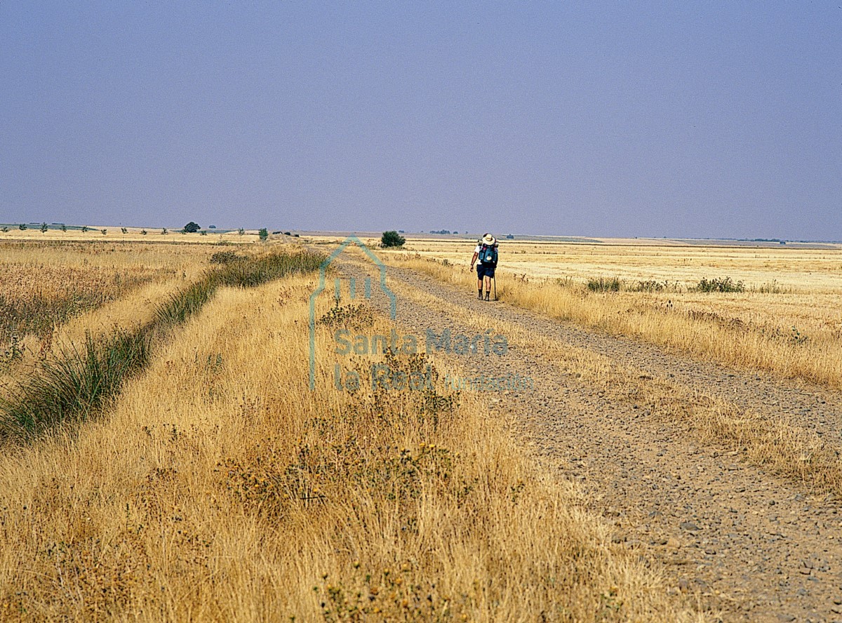 Por el Camino de Santiago, próximo a Calzadilla de la Cueza