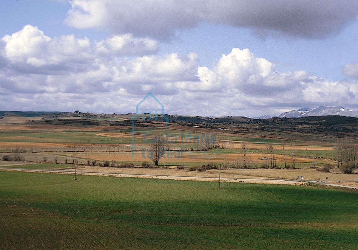 Panorámica