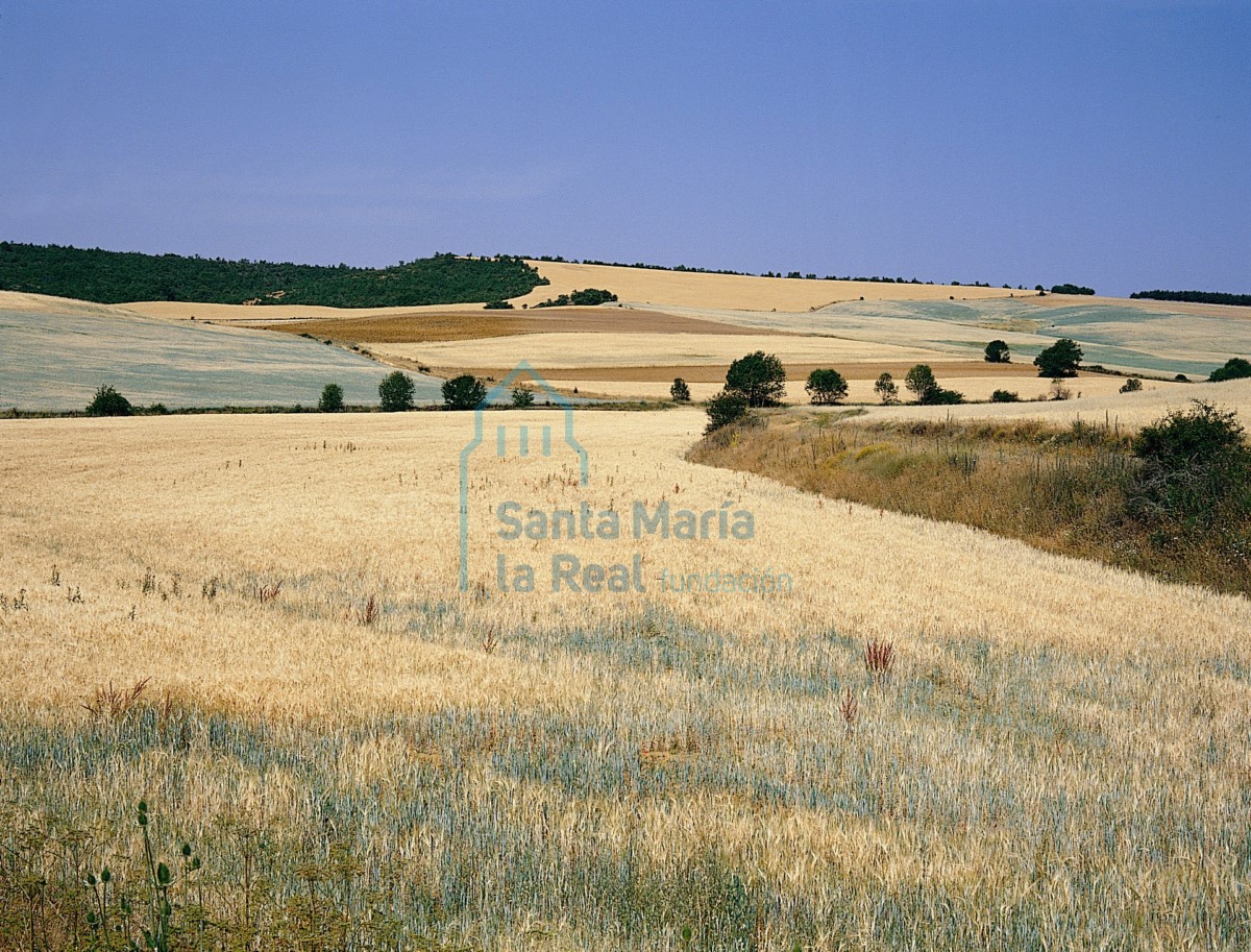 Paisaje de la Valdavia