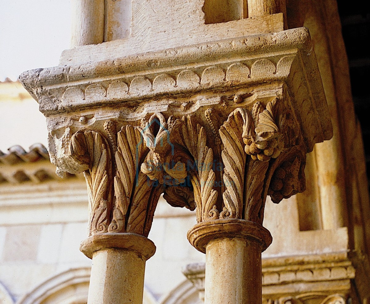 Capiteles vegetales del claustro
