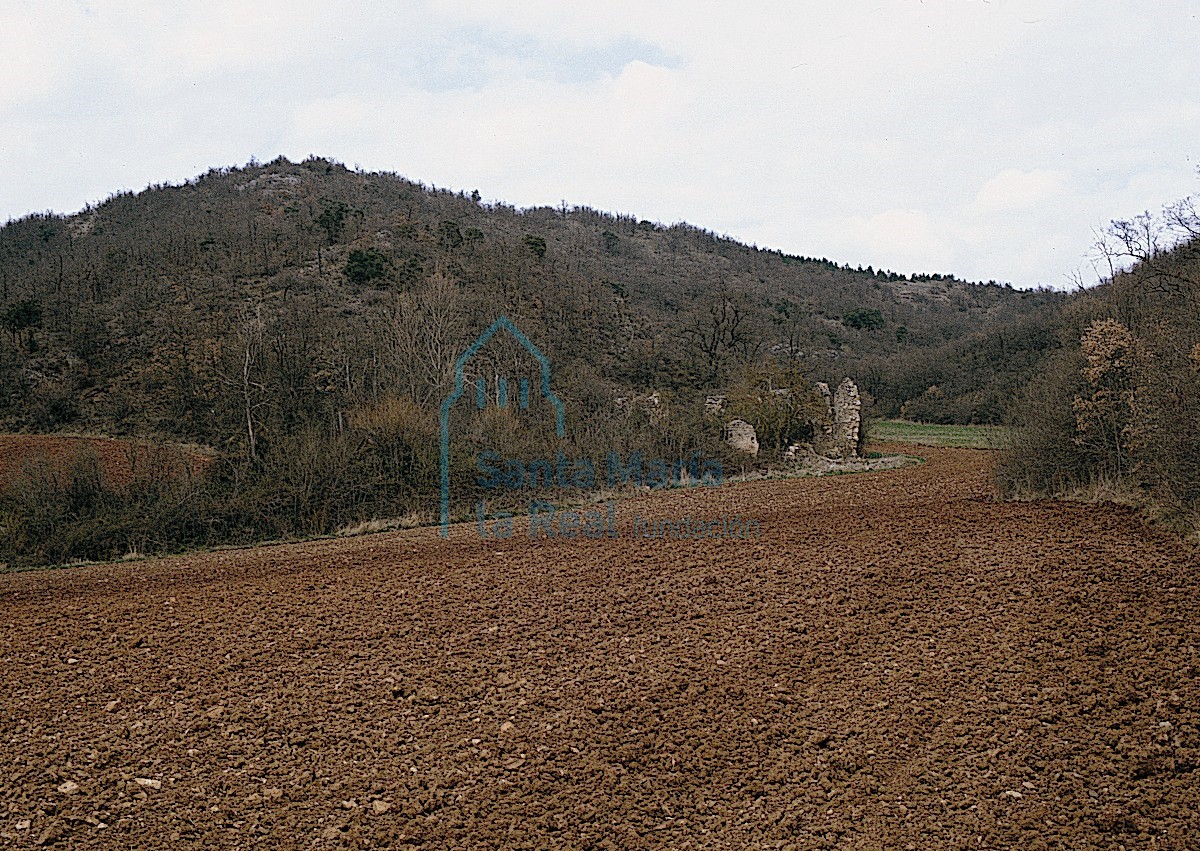 Ruinas del monasterio, en medio de la maleza
