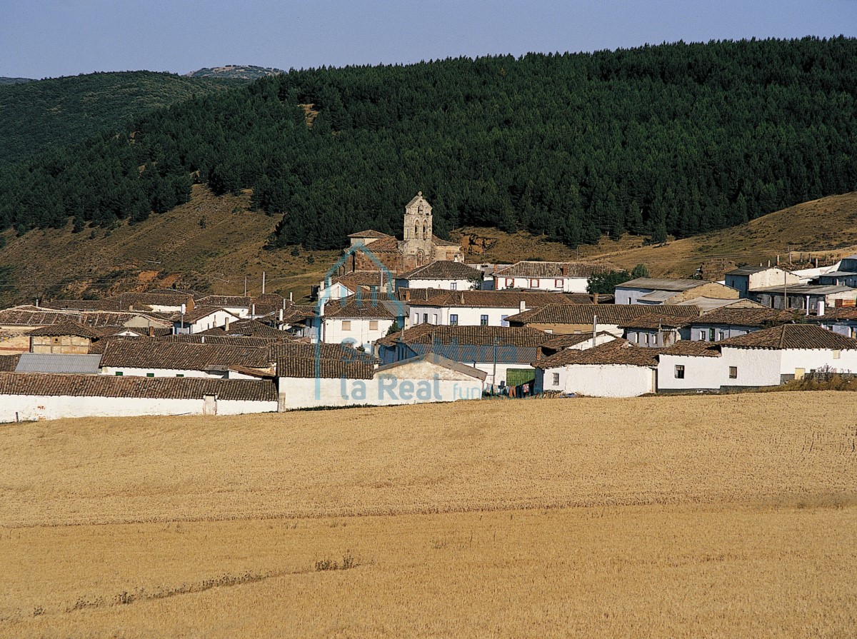 Nogales de Pisuerga