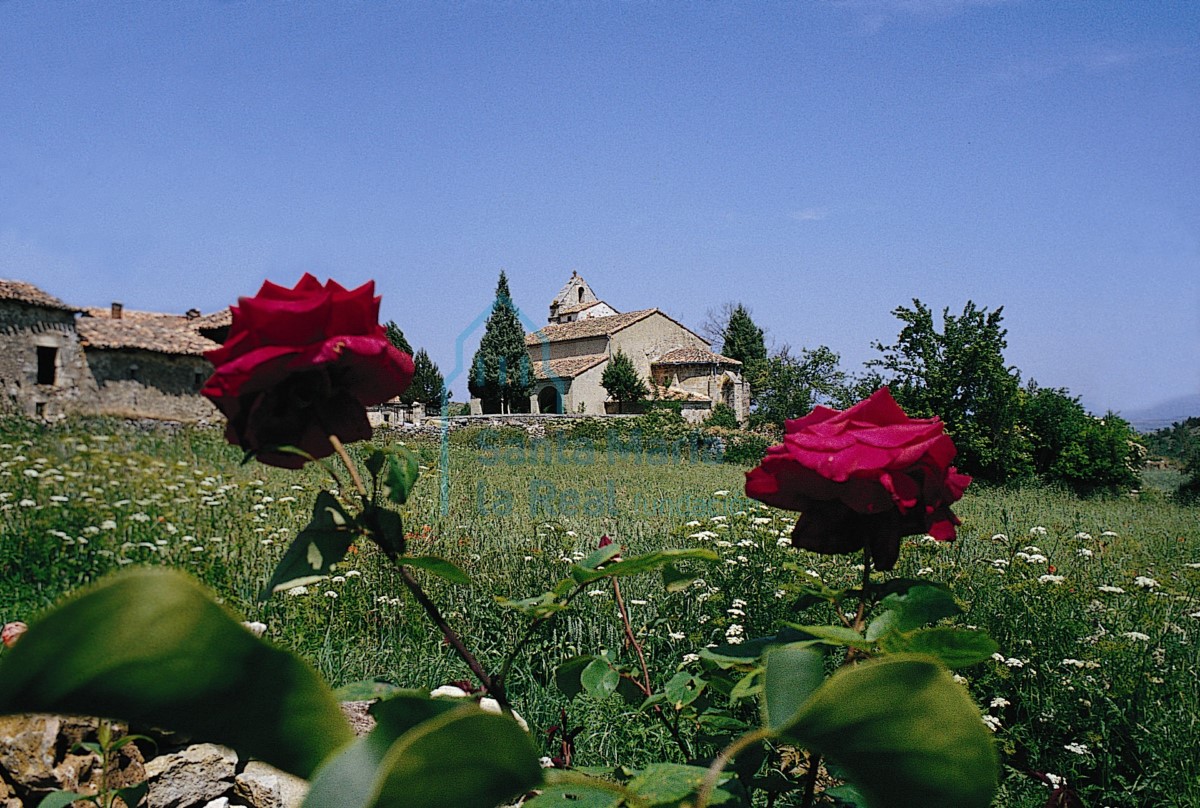 Vista general