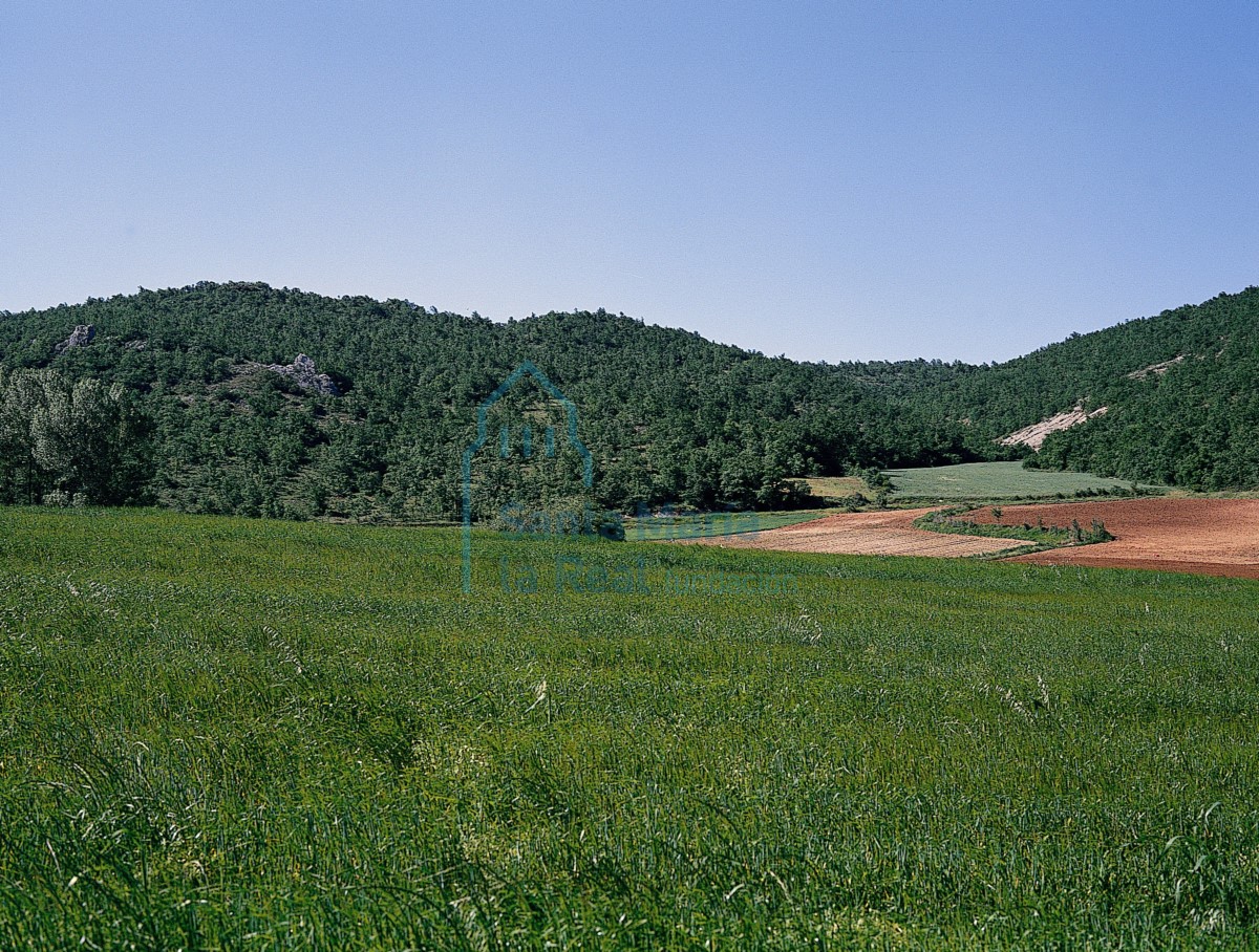Lugar donde se asentó Villalaín