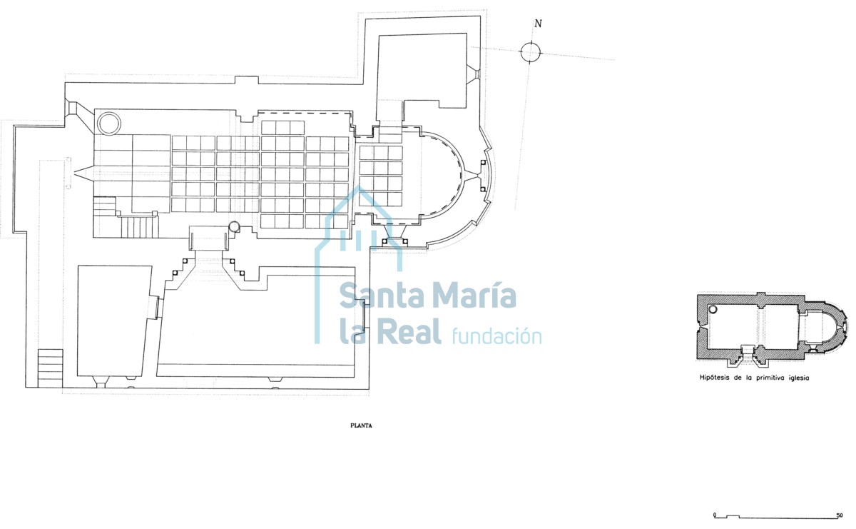 Planta