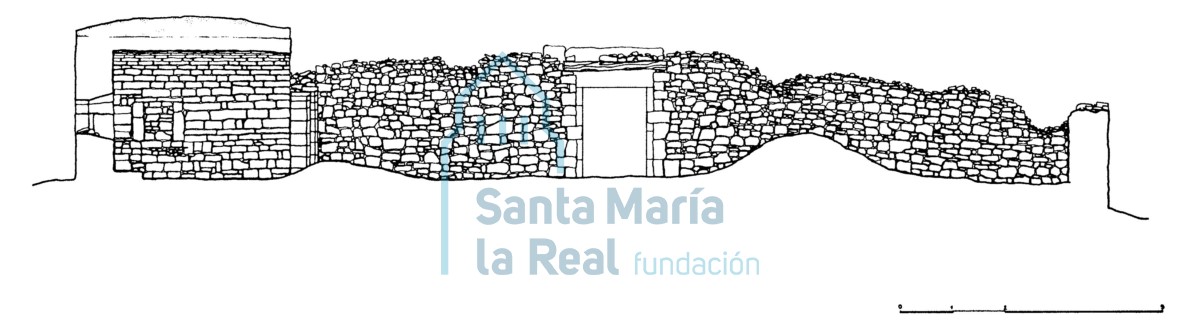 Sección longitudinal