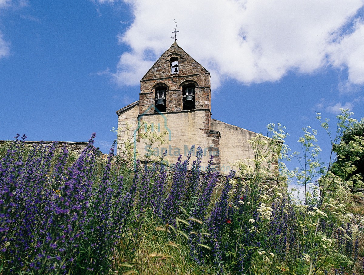Nuestra Señora de la Asunción