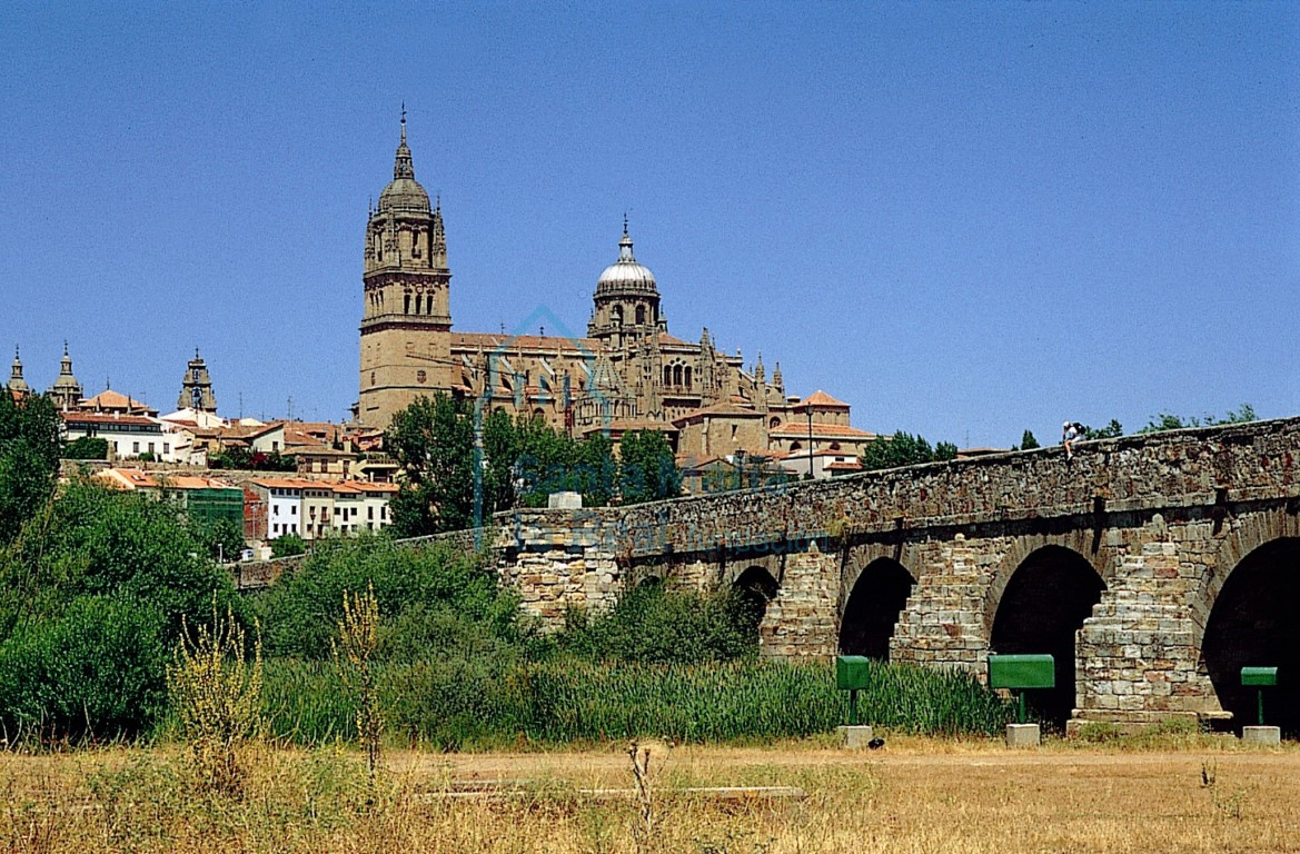 Vista desde la otra orilla del Tormes Vista desde la otra orilla del Tormes