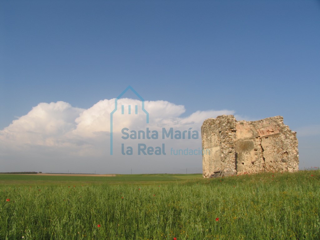 Vista general de los restos