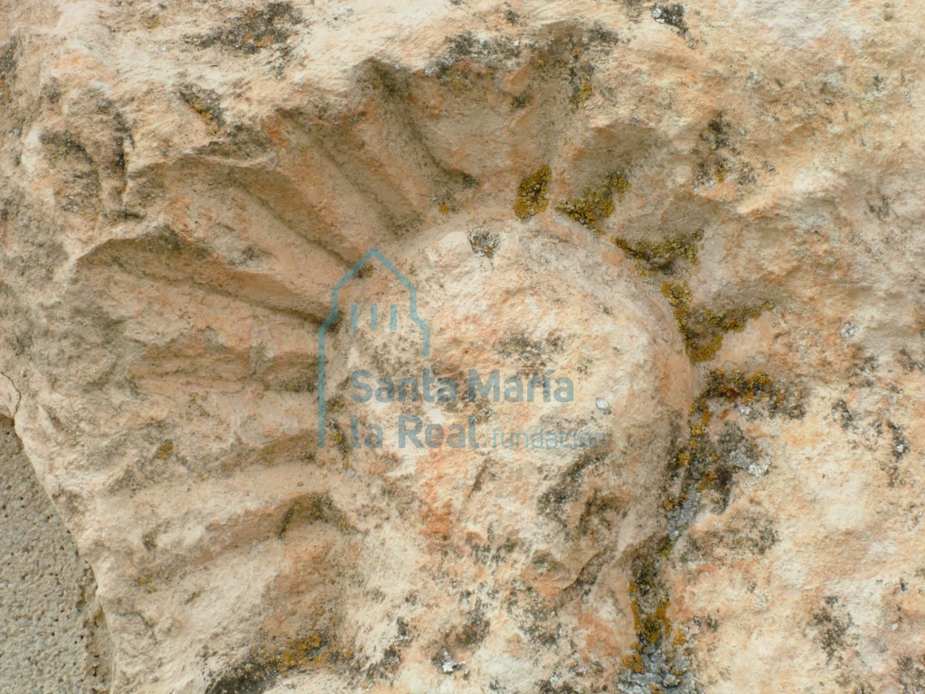 Detalle del capitel en el muro meridional