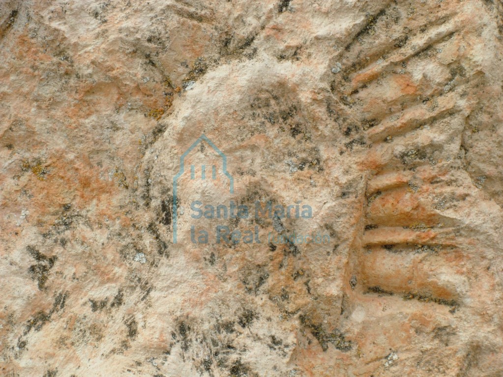 Detalle del capitel en el muro meridional