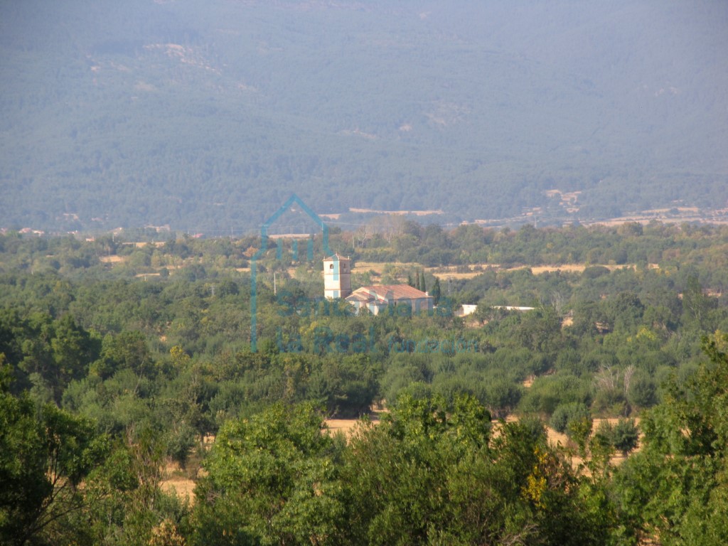 Panorámica general de la iglesia y su entorno desde el este