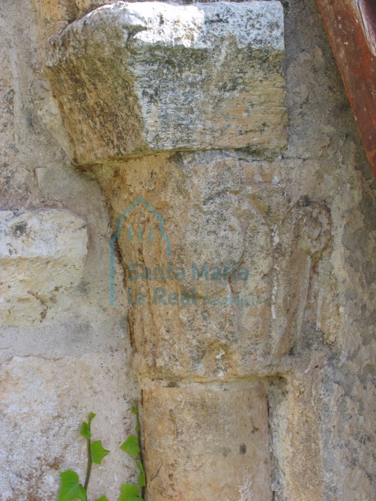 Capitel vegetal a base de hojas talladas, en la portada