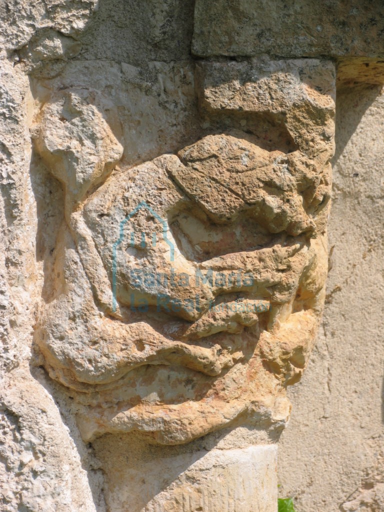 Capitel que representa una pareja de cuadrúpedos enfrentados, en la portada