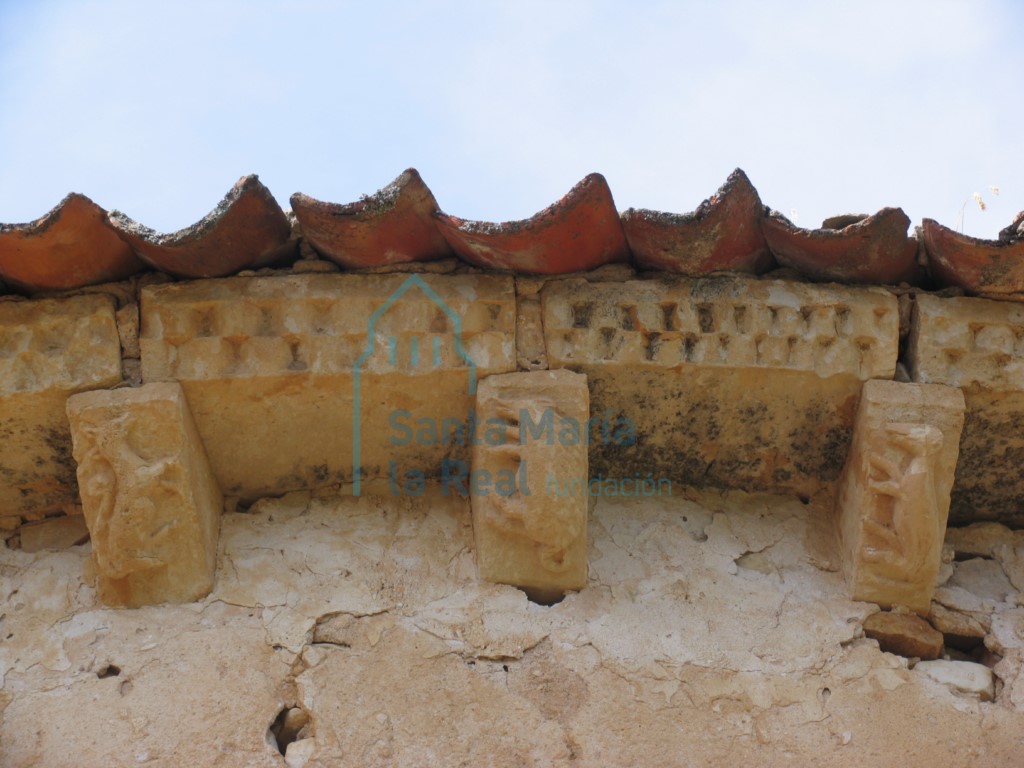 Canecillos de animales