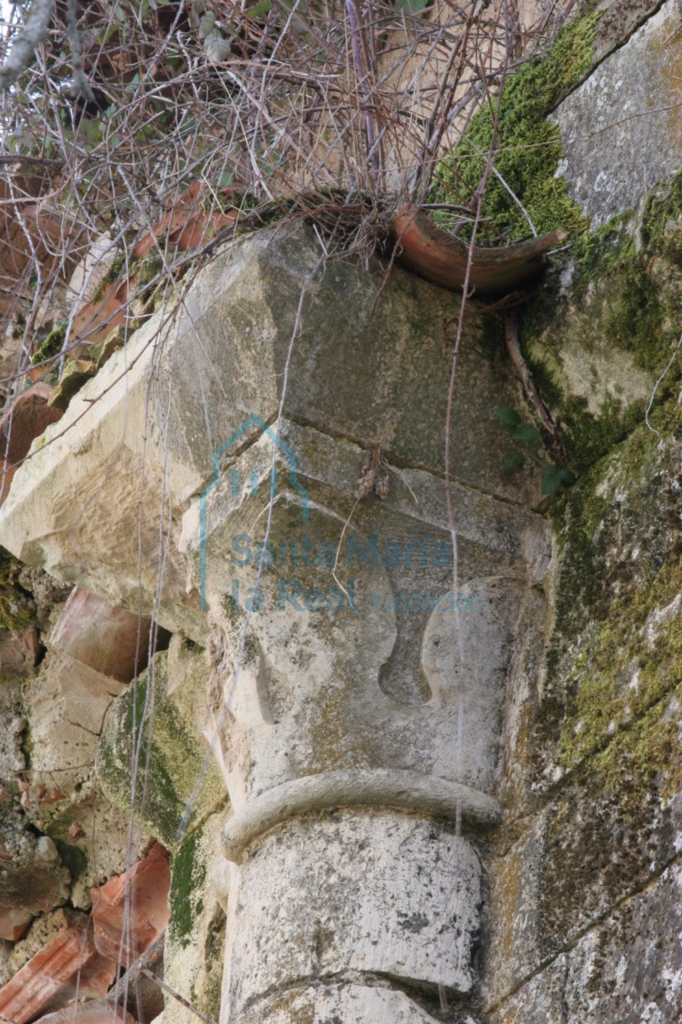 Capitel vegetal de la nave