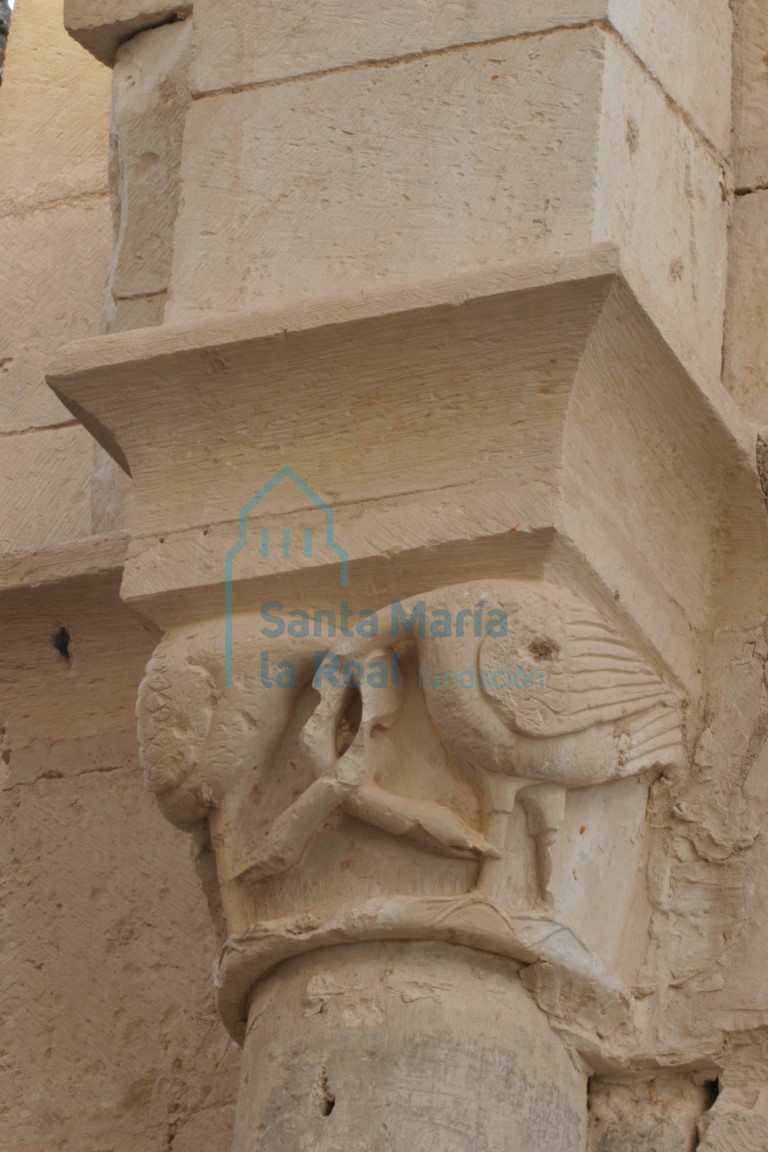 Capitel de la nave. Aves con el cuello entrelazado