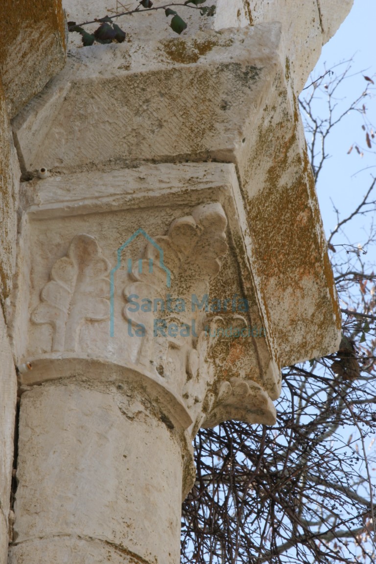 Capitel de la nave con decoración vegetal