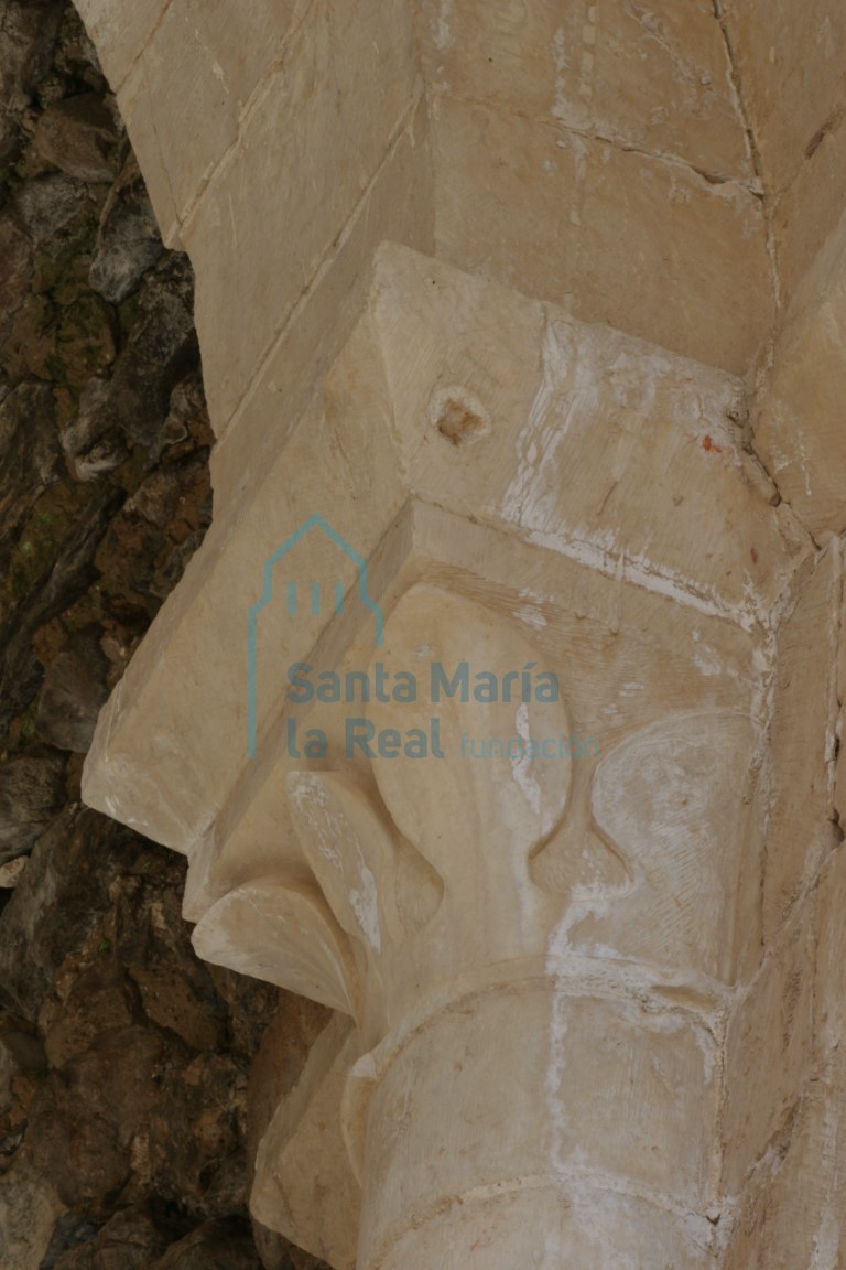 Capitel vegetal  de la nave colateral sur