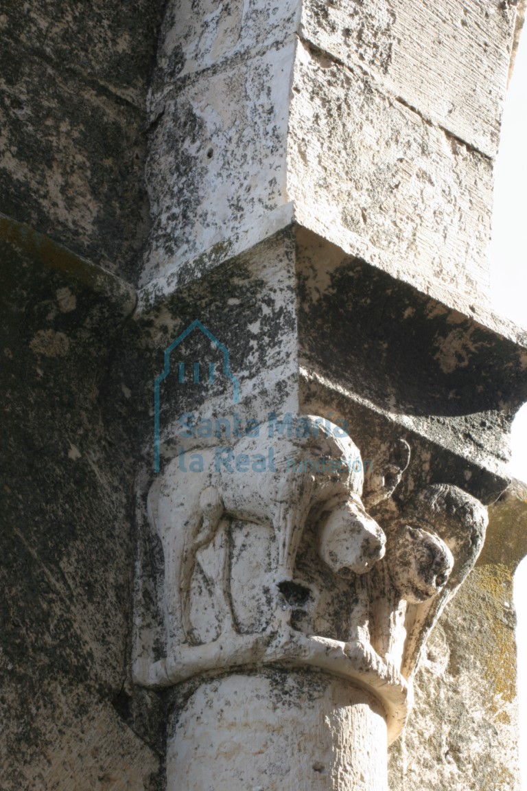 Capitel de la nave. Pareja de felinos