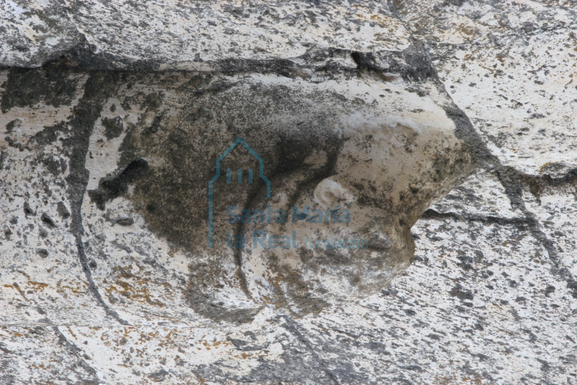 Moldura