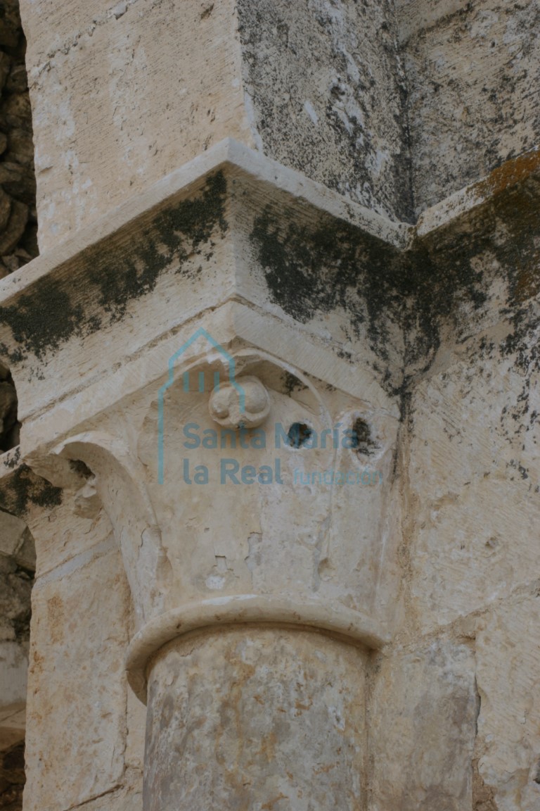 Capitel de la nave colateral sur. vegetal con frutos