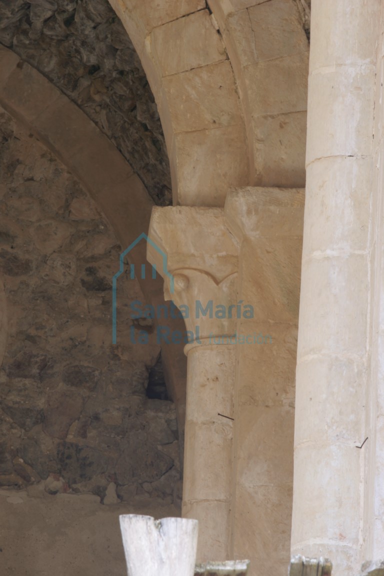 Capitel en la nave colateral sur. Vegetal con frutos