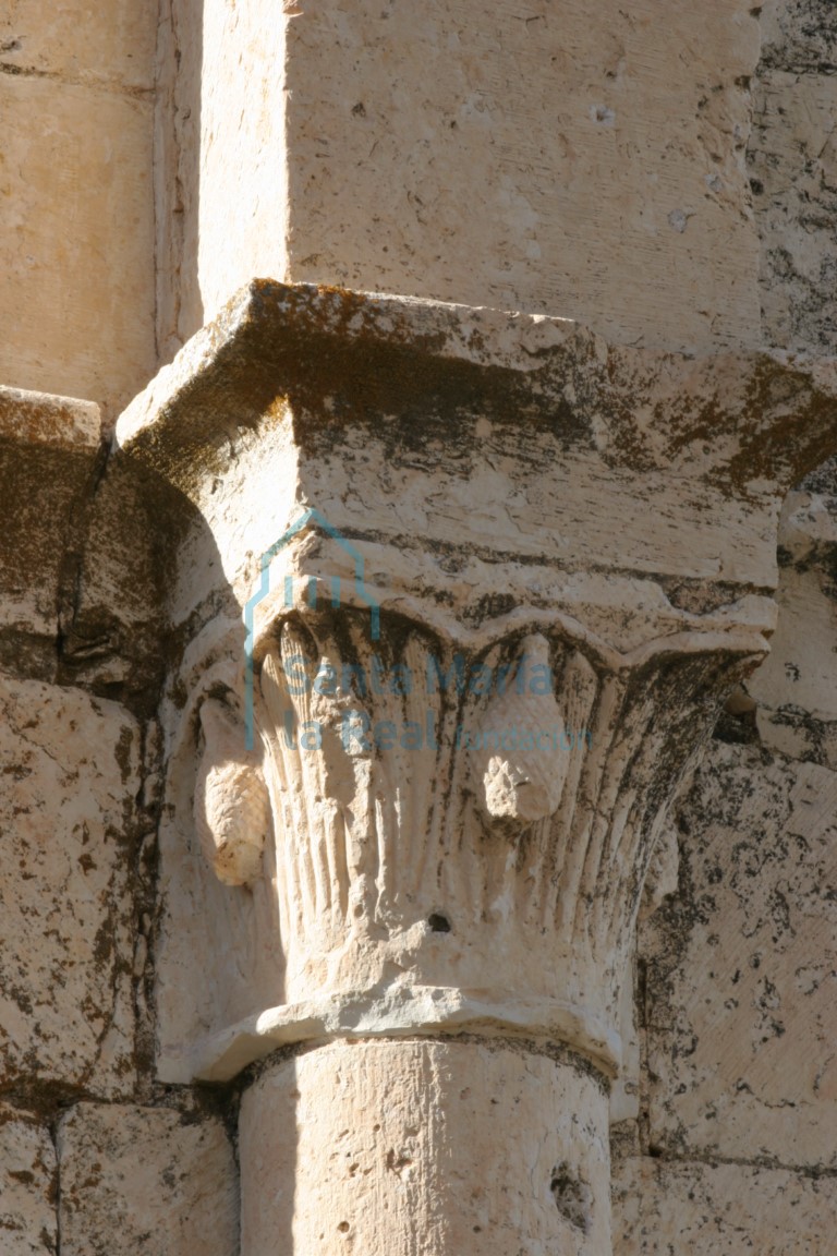 Capitel de la nave colateral sur. Vegetal con piñas